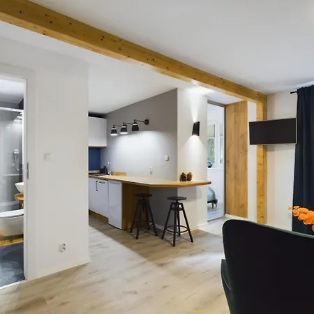Apartamenty Familly Dabrowka - Przy Parku, Prywatny Parking, Sauna, Ogod - By Spaceapart Jelenia Góra Exterior foto